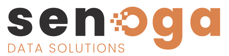 Senoga Data Solutions